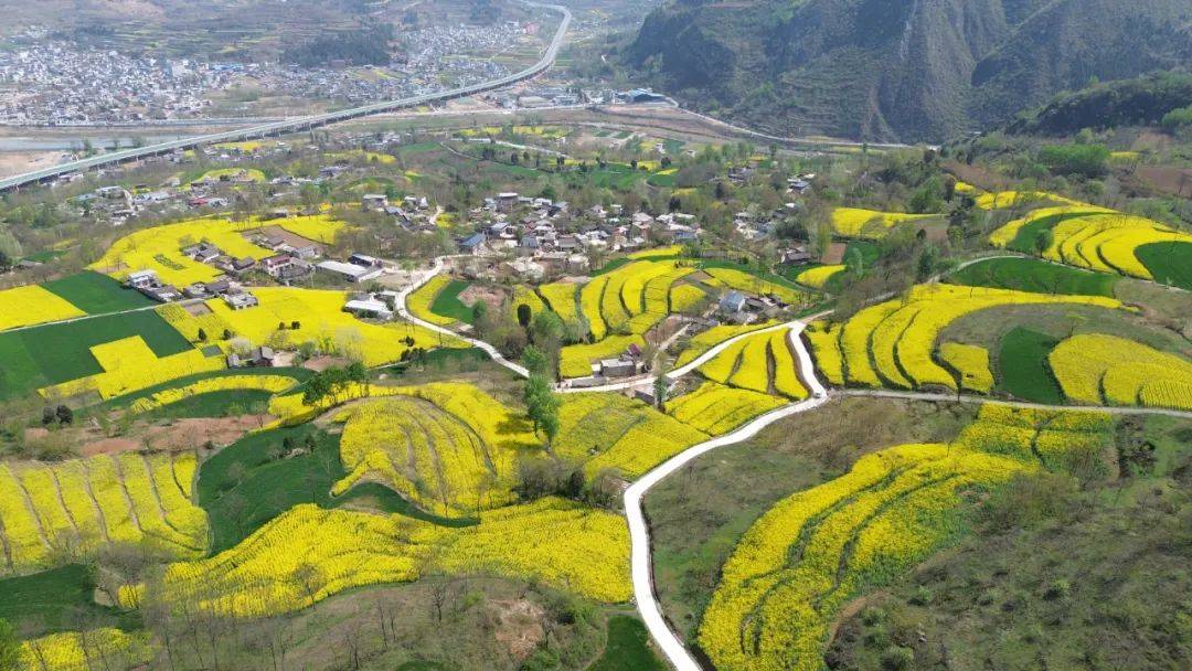 加压奋进实干争先成县跑出县域经济高质量发展加速度