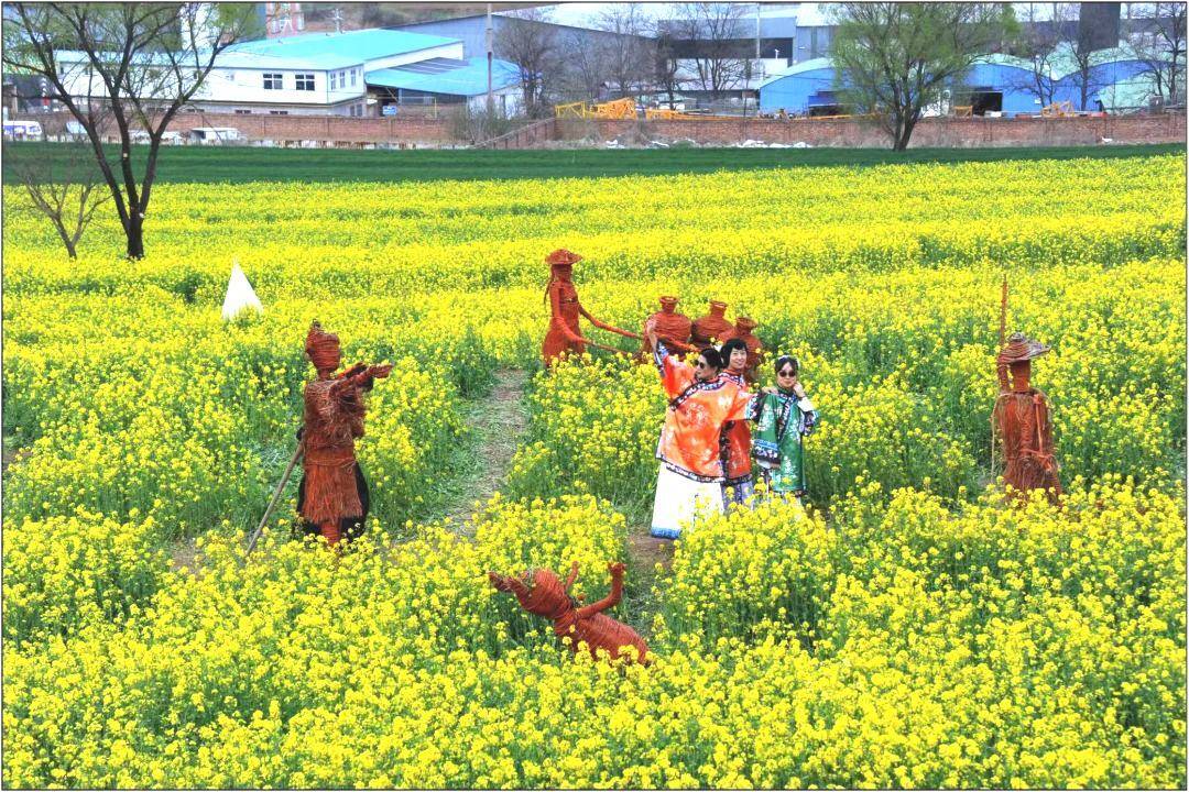 山西底村油菜花图片