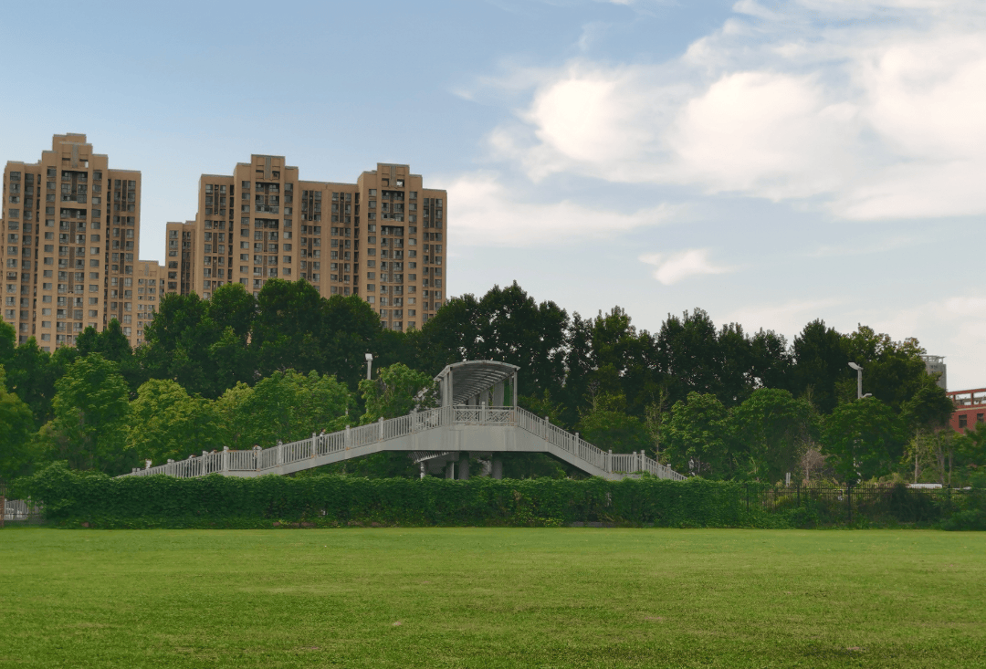 西安博迪学校2024年招聘高中初中小学教师初中教务干事