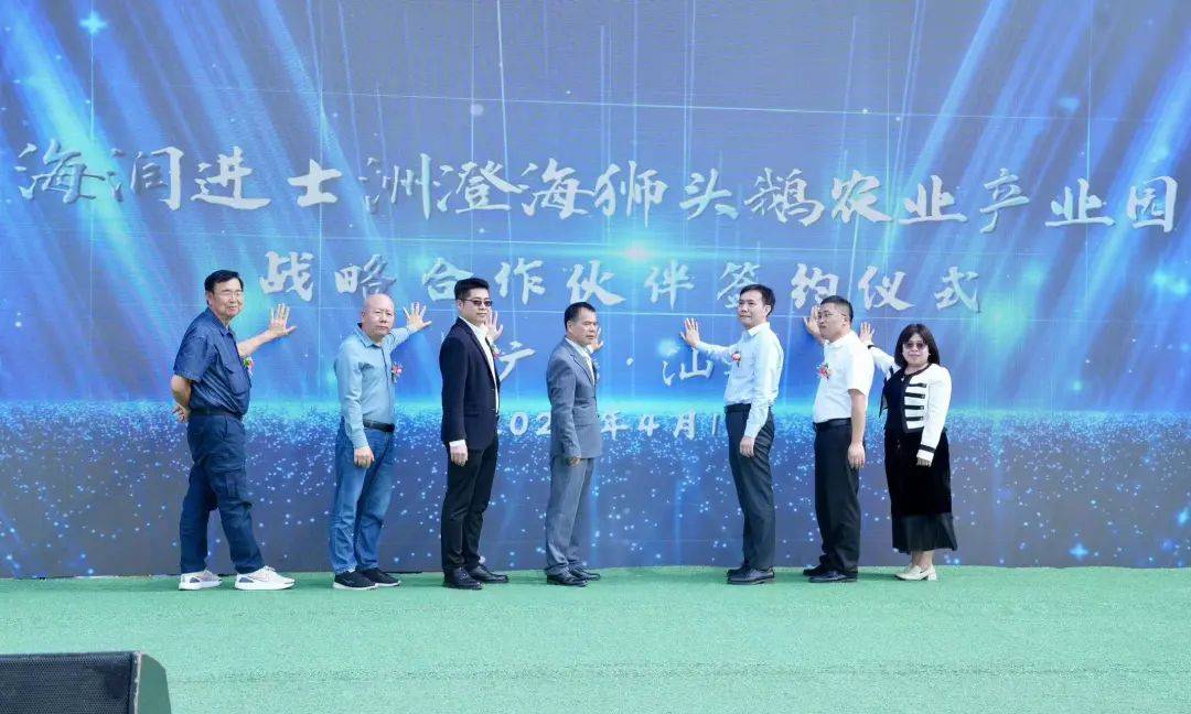百千万工程一期计划投资7亿元海润进士洲澄海狮头鹅农
