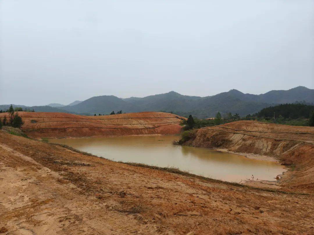 陶莲仙我家屋后的山