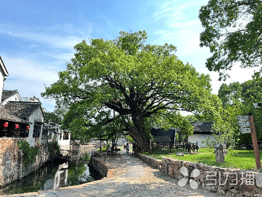 西山老屋里的百年家契_古村_年代_契约书