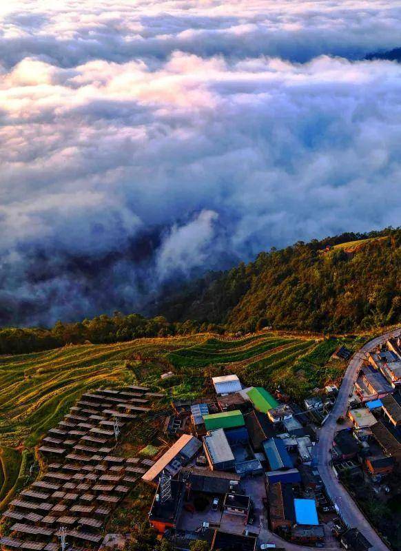 双柏县:追青逐绿 向美而行