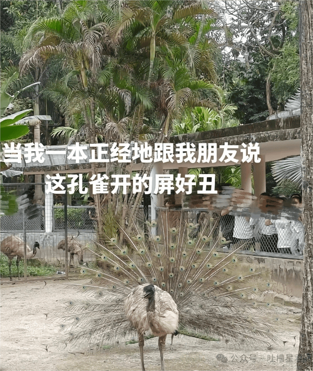 寂寞男大公布找女友的100个要求救命许愿池都不兴这么许啊