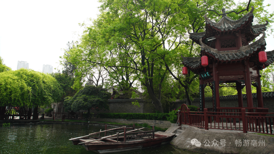 亳州古城春意浓 | 春游江淮 亳州等您_华祖庵_美景_微风