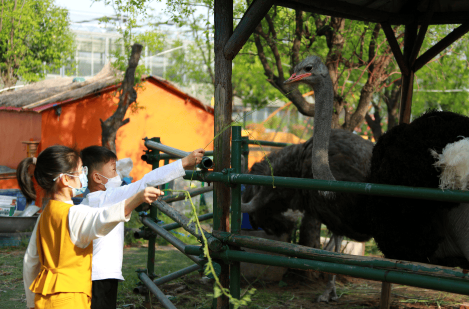 免费多家景区官宣