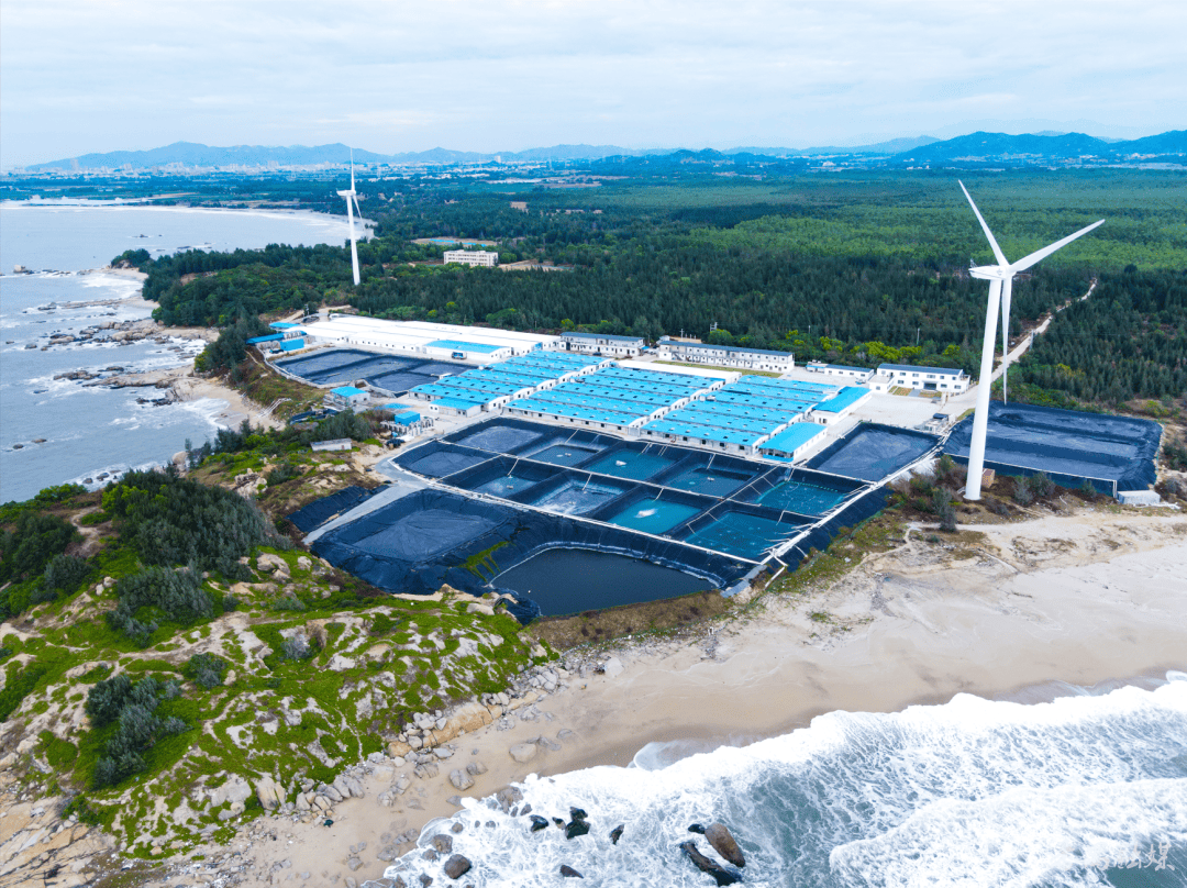 来番禺大有可为看看千亿级农业龙头怎么做