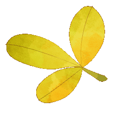 我们的节日三月三上巳节记得吃荠菜花煮鸡蛋哦