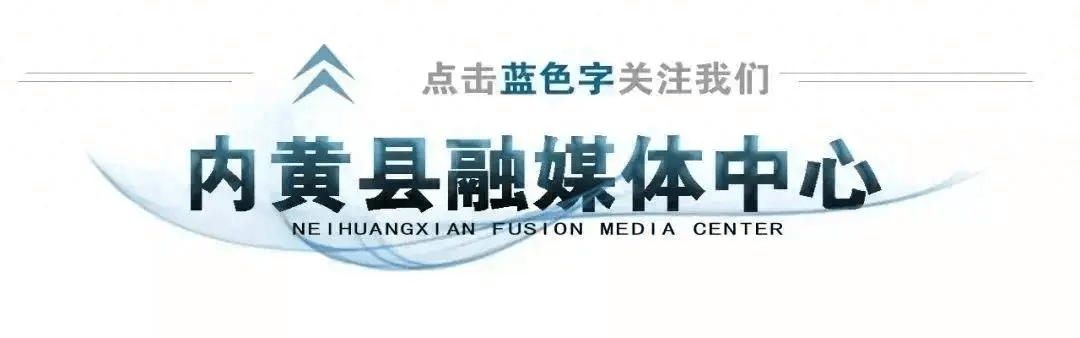 内黄1人,获国家级荣誉!_服务_工作_李彦蕊