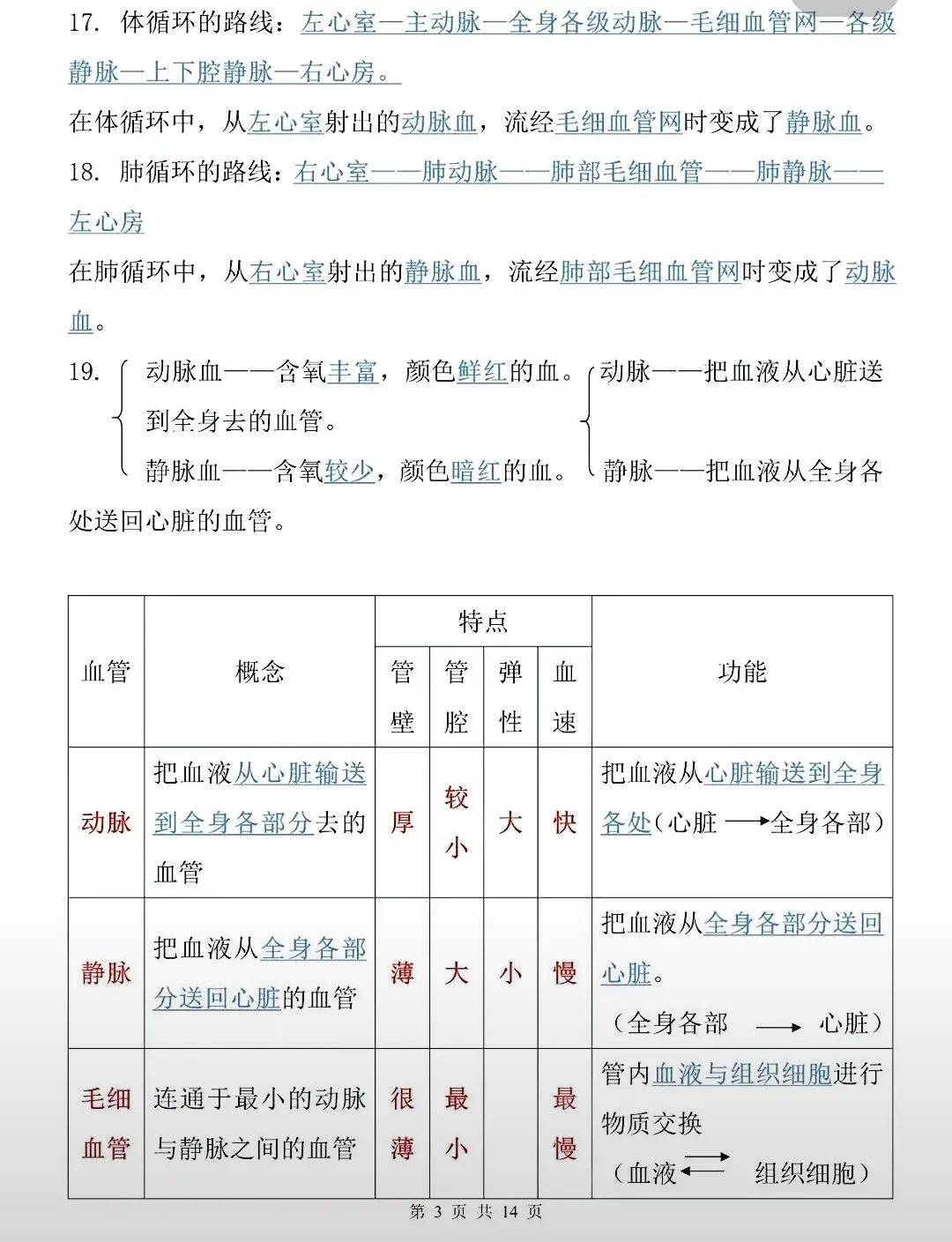 初中生物必考图知识点图片