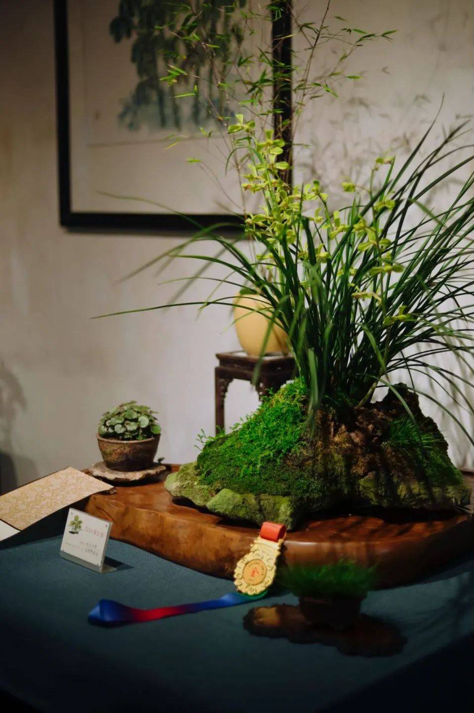 上海曲水园第二届蕙兰展开幕,一波蕙兰精品,新品展出_兰花_展览_盆景