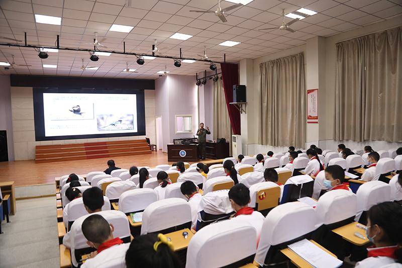 鸟线双护谱写青春谐奏曲