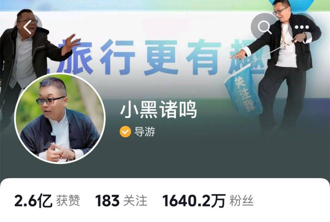 网络名人看政和为何他们都对这杯茶情有独钟