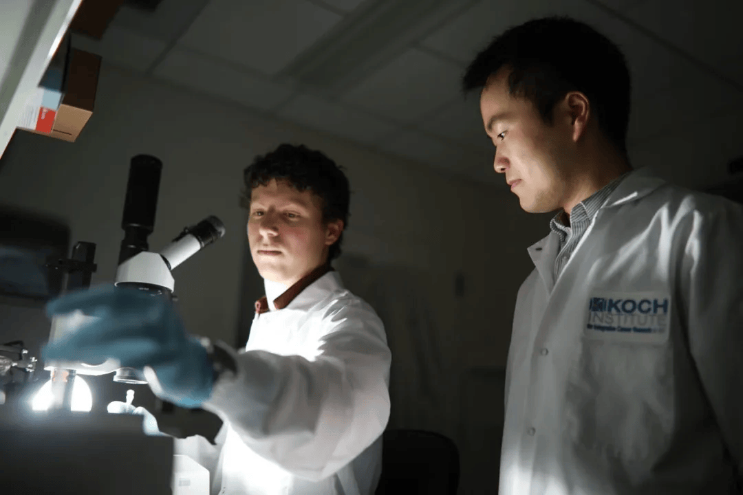 海外寻珍专访首位哈佛毕业演讲的中国学子何江从农村走出到世界顶尖