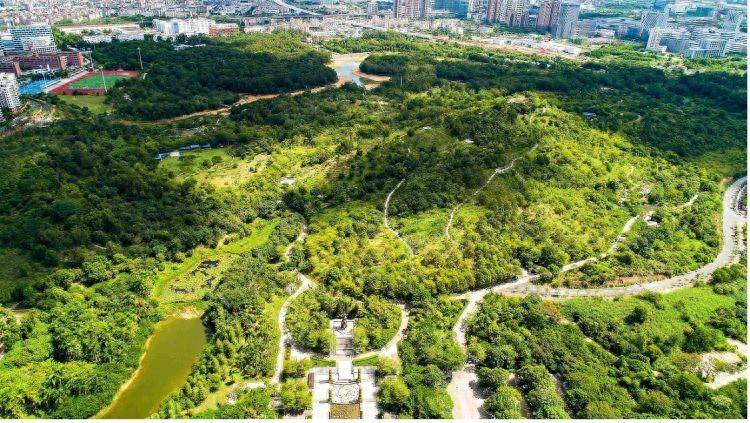 坑梓@你来打卡|人间最美四月天,踏青赏花正当时_公园_生态_龙山