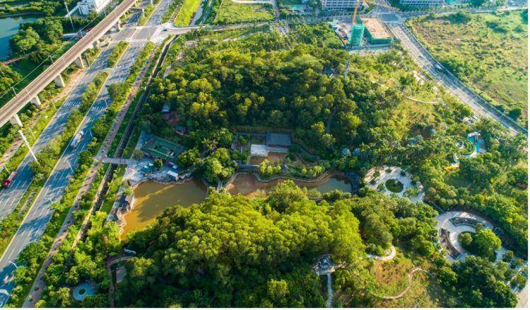 坑梓你来打卡人间最美四月天踏青赏花正当时