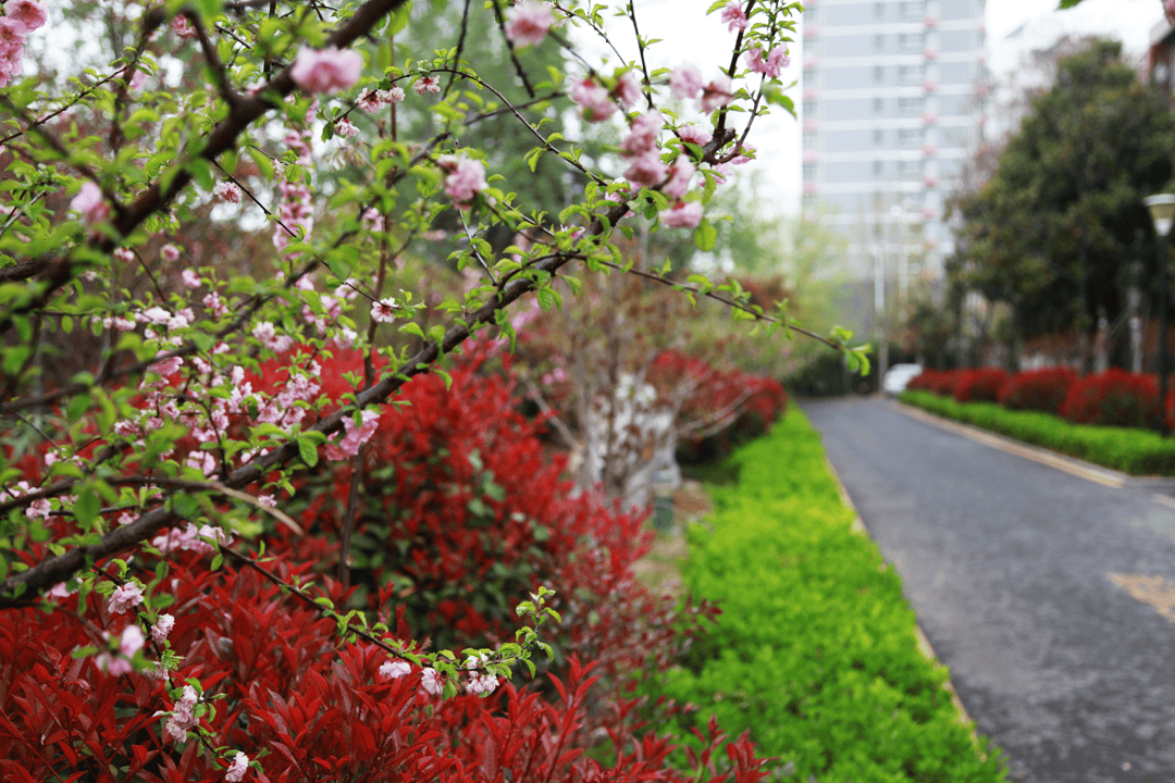 榆林能化摄影/易建军国宏化工摄影/应存国际焦化摄影/吕德明等闲