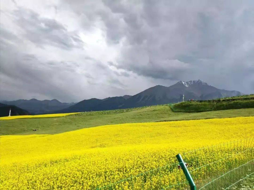 有一种智慧,叫转弯作者丨彩云追月摄影丨穆利斌来源丨永恒心灵驿站