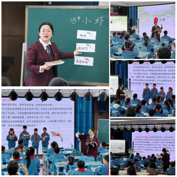 丁玥老师执教的《小虾》一课,深度解读教材,紧扣单元目标,落实教学评