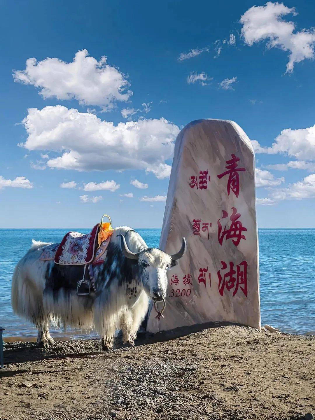 邂逅青海湖 茶卡盐湖 塔尔寺!有些风景需要亲自去感受!