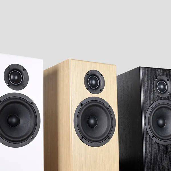 新品速递箱体学问大totembisontwintower落地音箱