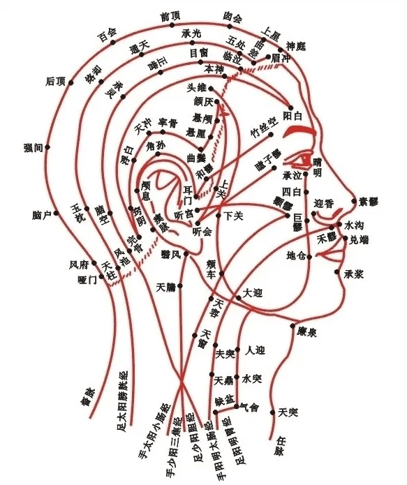 头部5条重要经络图片