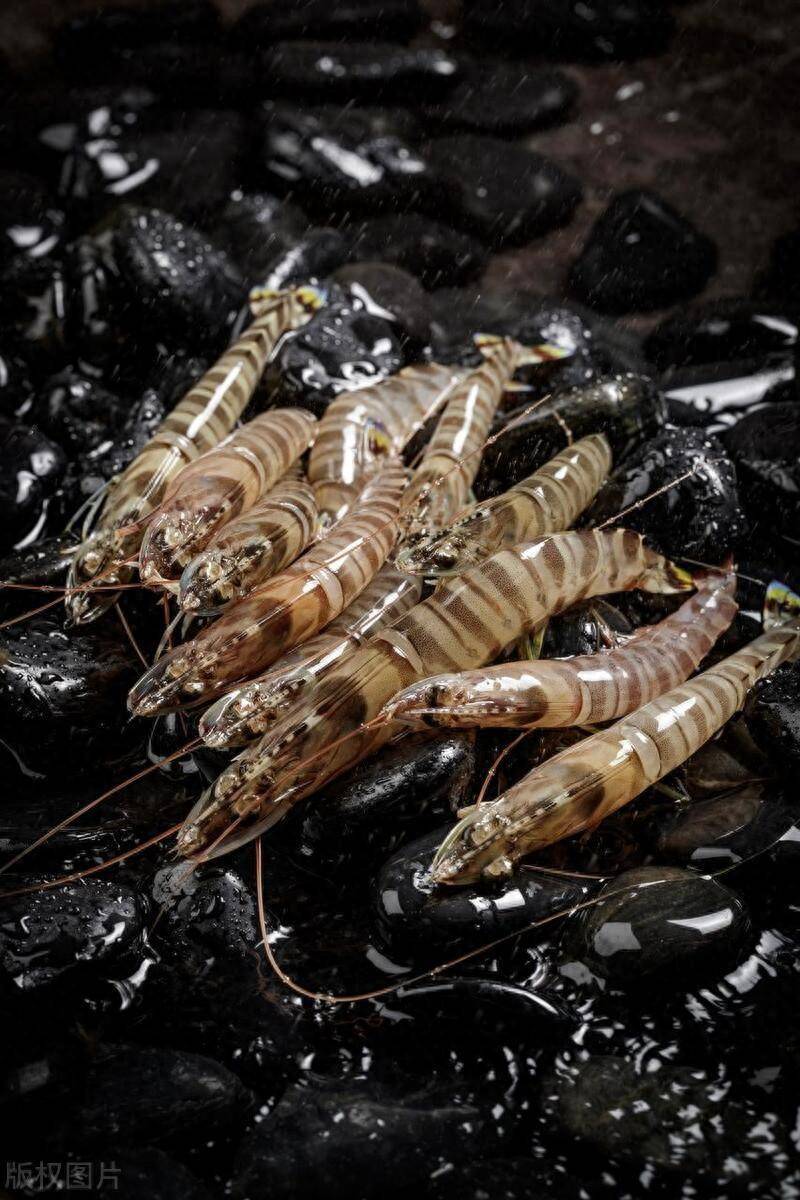 马达加斯加南部陶拉纳鲁龙虾捕捞季开始