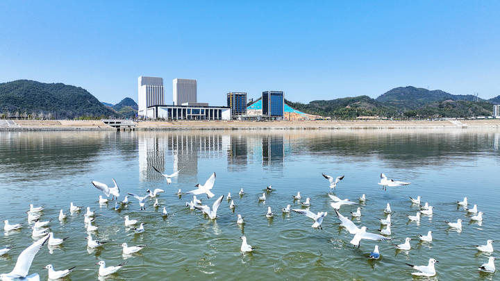 浙江境内最大猛禽迁徙过境点入选,22处观鸟胜地都"胜"在哪儿_平湖