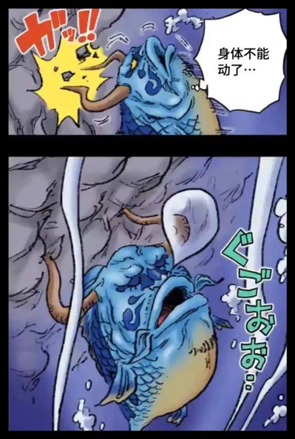 海贼王凯多果实的秘密公布,原来真是由鲤鱼变成的青龙!