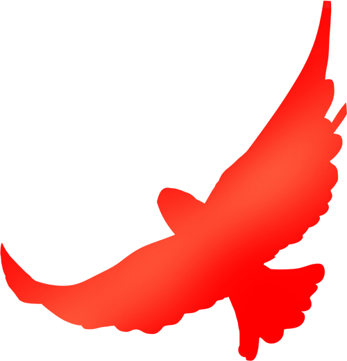 02王光强副镇长,张先副镇长带领经济发展板块相关人员到到巩固中罗