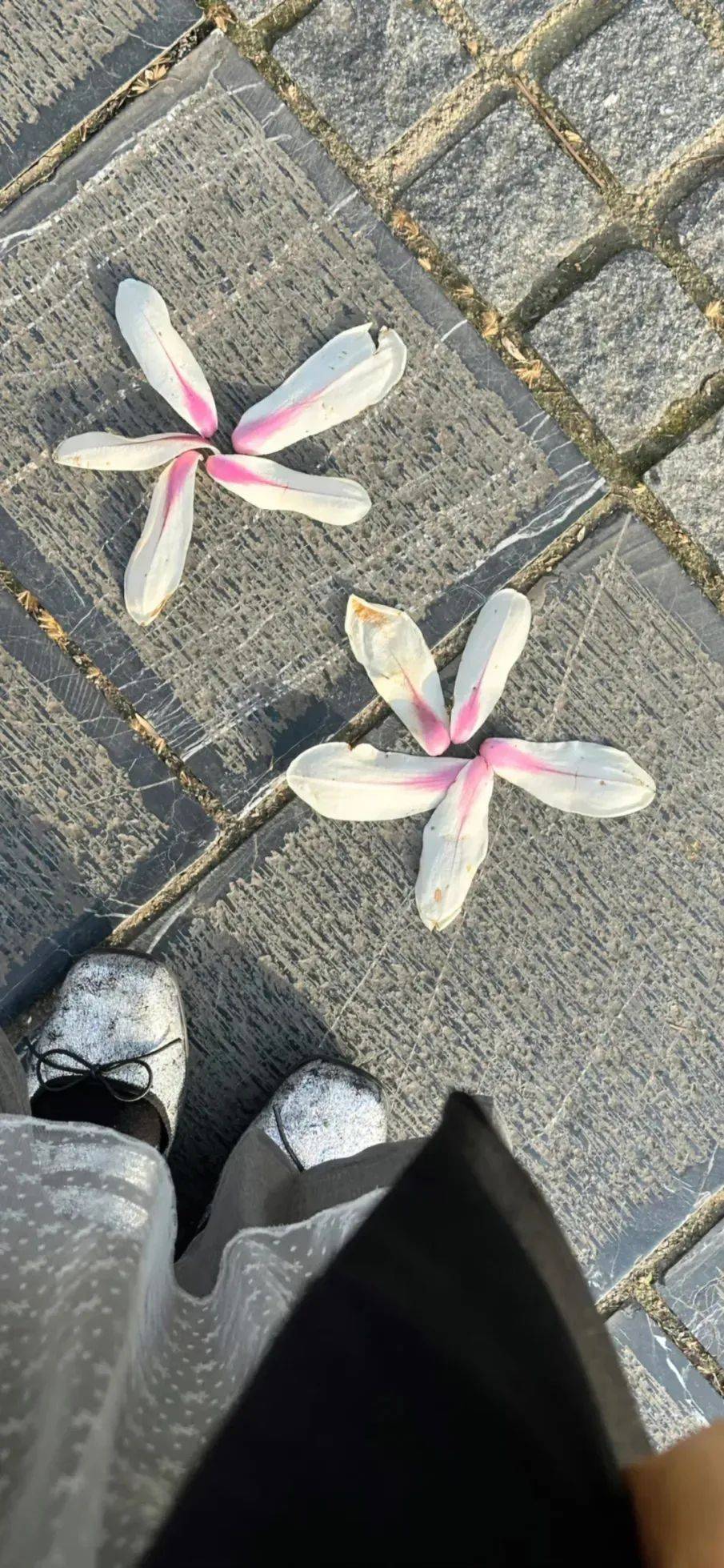 壁纸4k全面屏壁纸