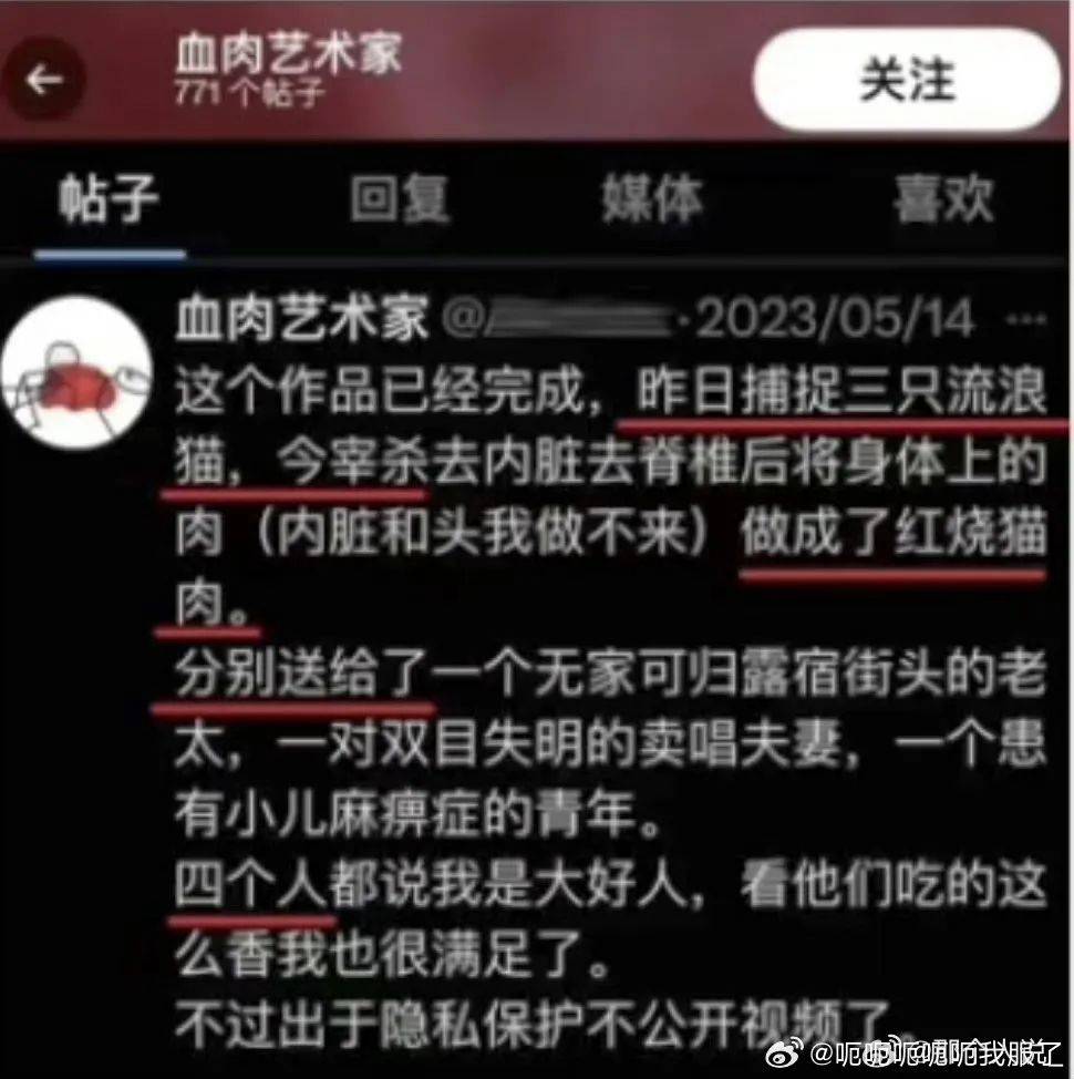 虐猫狂魔后续他是无辜的