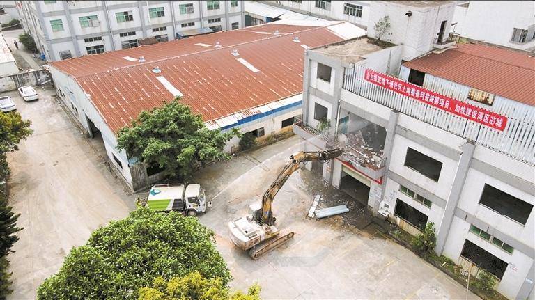 胡汀滢 摄深圳新闻网2024年4月13日讯(深圳晚报记者 黄馨莹 黄励铮