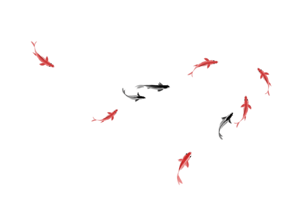 cold是冷fish是鱼coldfish可不是冷鱼