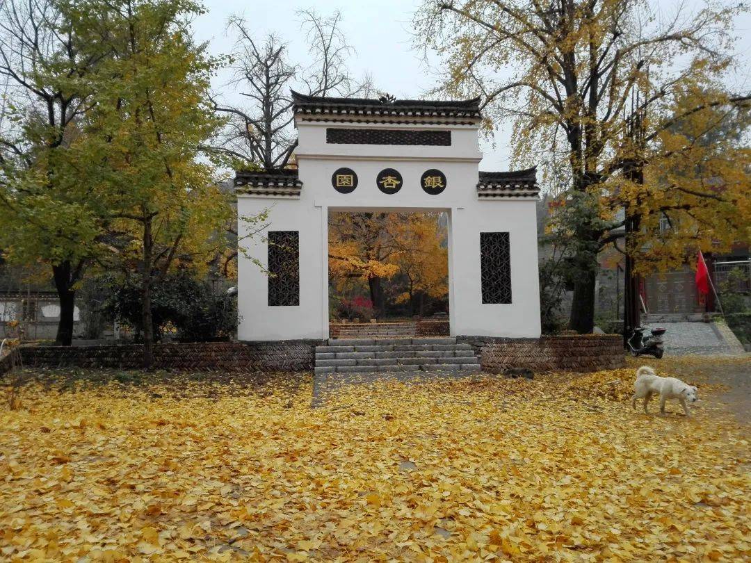 叮您已到账新县郭家河踏青攻略一份上