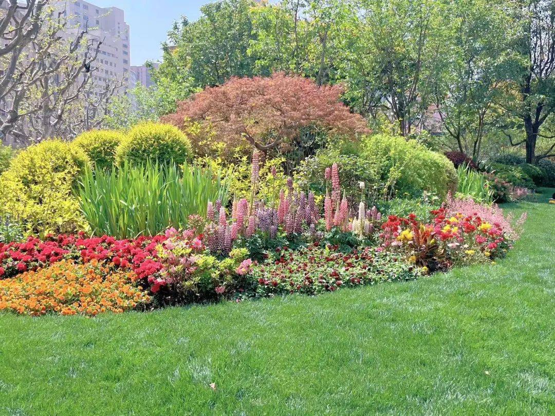 绿地_绿化_改造