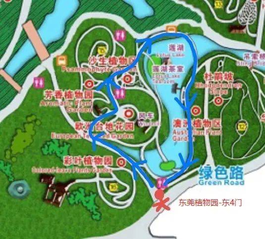 东莞植物园-彩叶植物园,欧洲台地花园,沙生植物园,莲湖99门票:免费