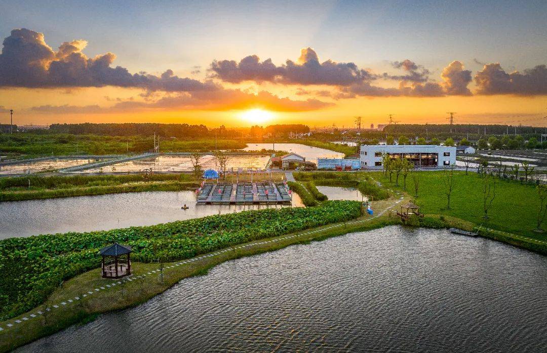 临时交通管控通告_常熟_活动_辛庄镇