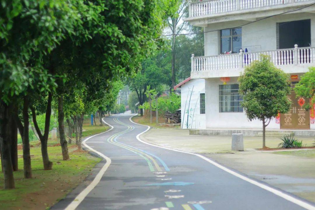 网络名人咸宁行 走进乡村看振兴_采风团_活动_通山县