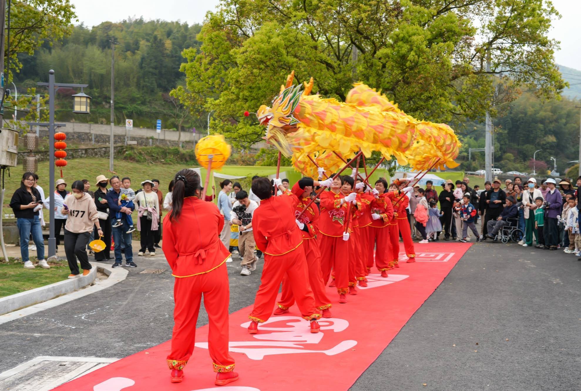 大碶街道图片