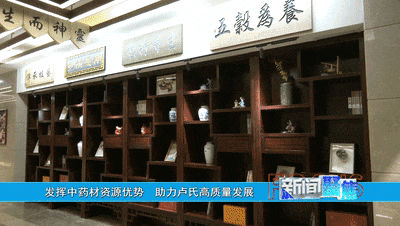 【新闻聚焦】发挥中药材资源优势 助力卢氏高质量发展_连翘_药膳_产业