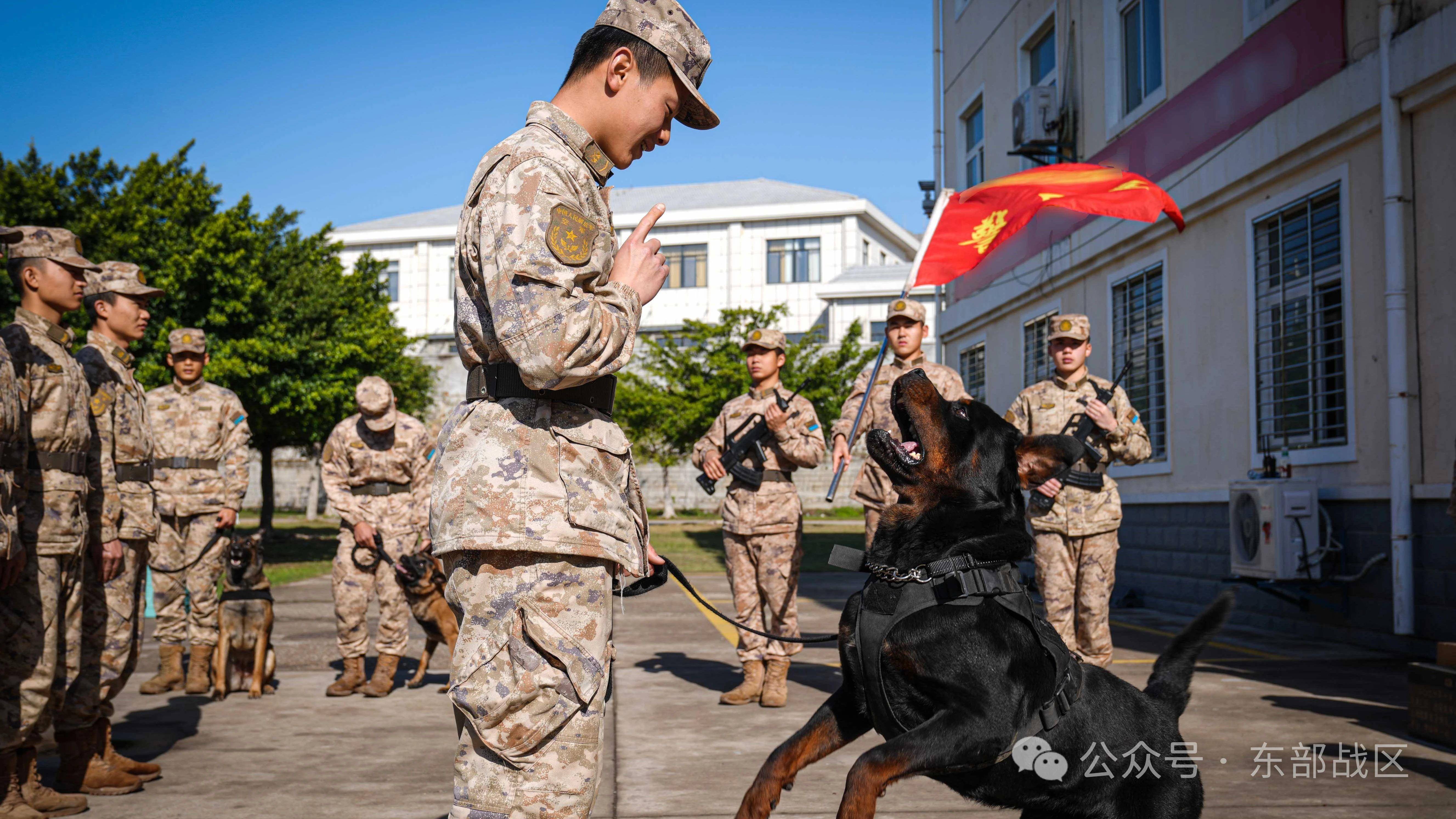 广西军区警卫连图片