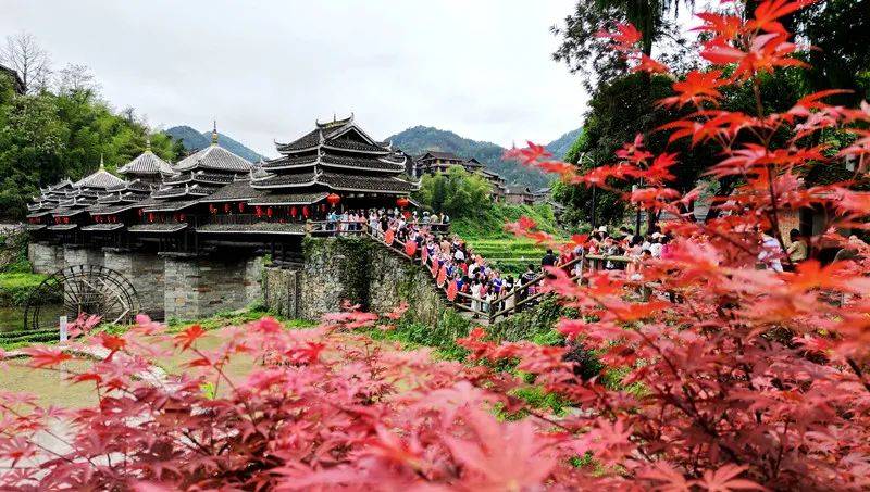 4天311万人次2528亿元广西三月三假期柳州游流量满满