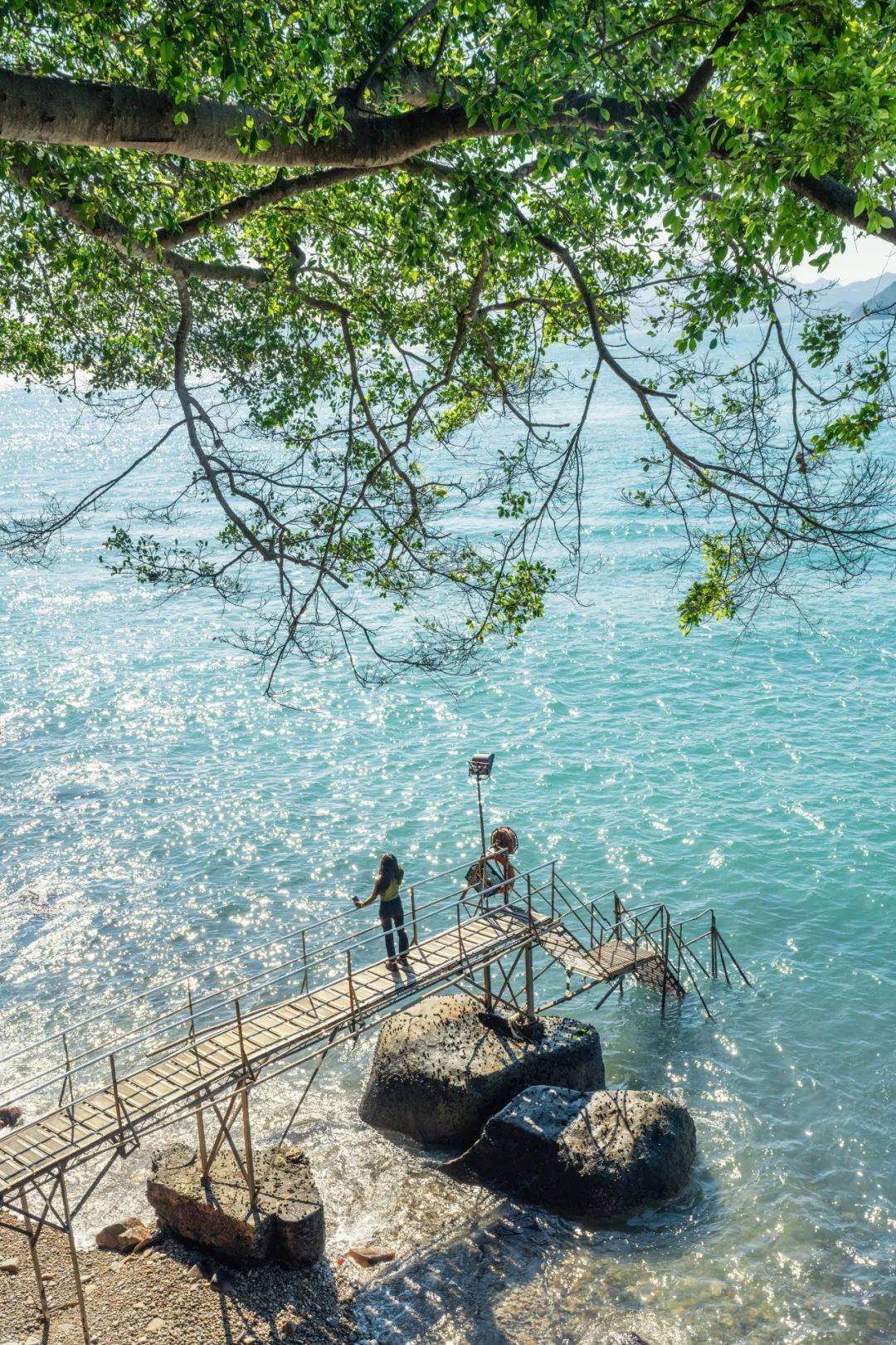 景明器材ii用z 8像素变化拍摄,打开港澳新视界_mm__