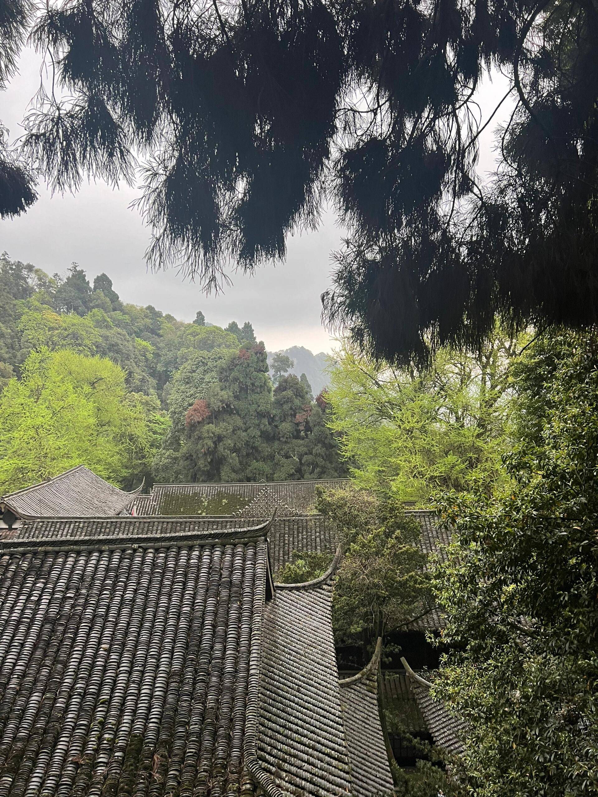 四川理县旅游看完这篇文章让你出行不踩坑