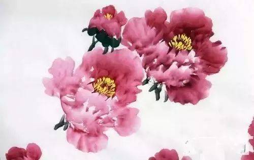 国画教程二乔牡丹画法