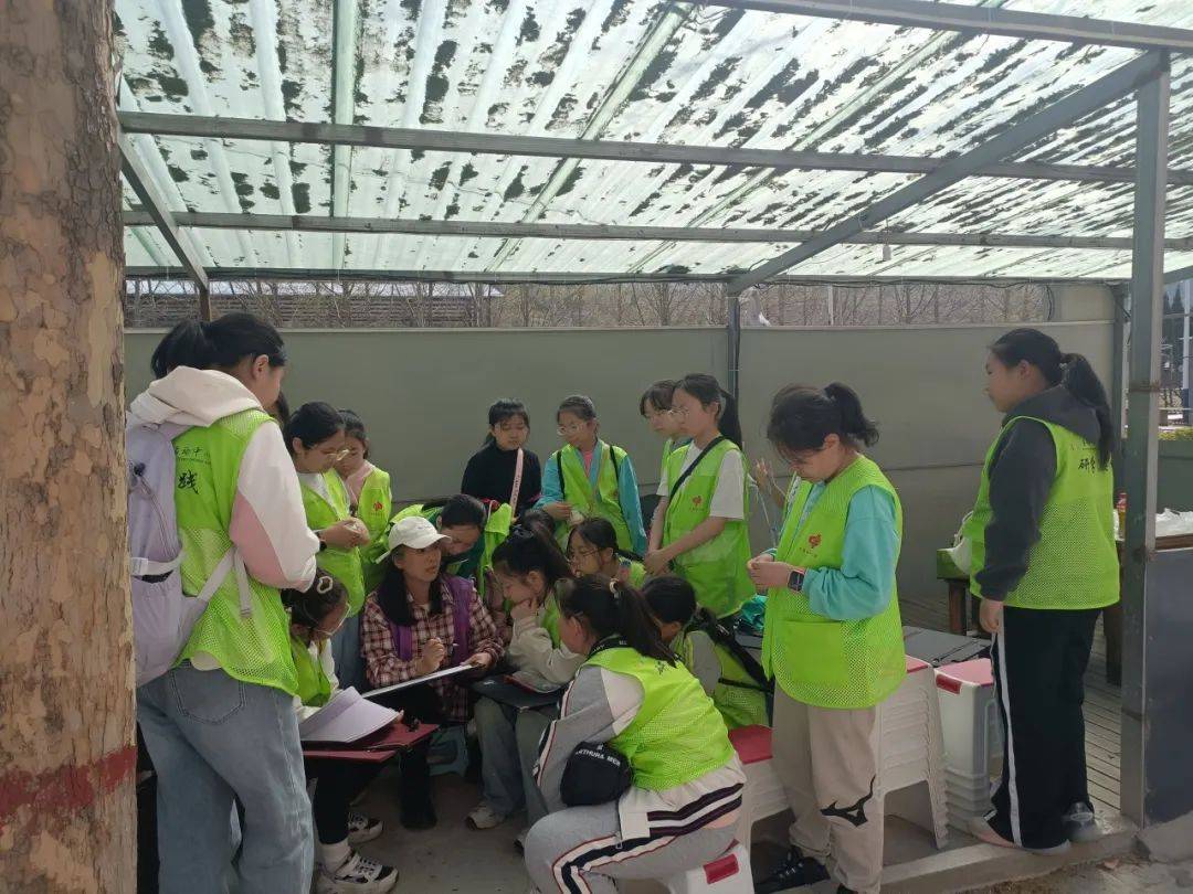 2024年童心向党绽放梦想公益研学实践活动全面启动