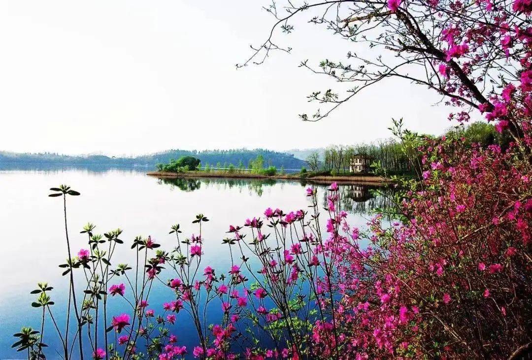 辉南大龙湾 五月杜鹃花盛开 景色最为迷人辉南西夹荒 住东北最传统的