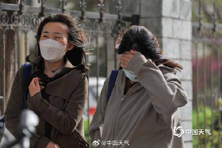 睁不开眼北京大风沙尘齐至杨柳絮飘飞