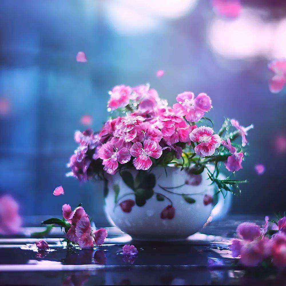 这位摄影师,将平凡静物拍出了绝妙美感!_arefin_作品_宁静